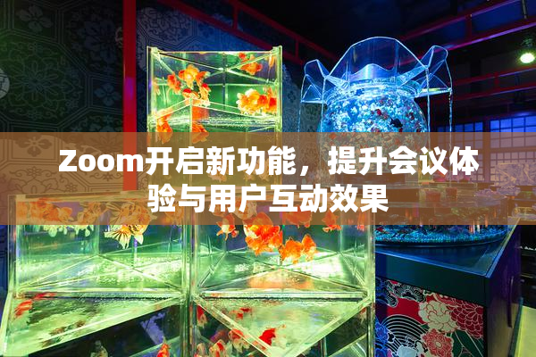Zoom开启新功能，提升会议体验与用户互动效果