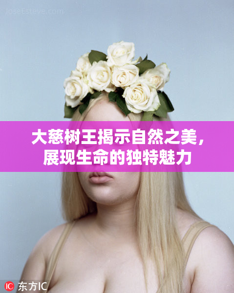 大慈树王揭示自然之美，展现生命的独特魅力
