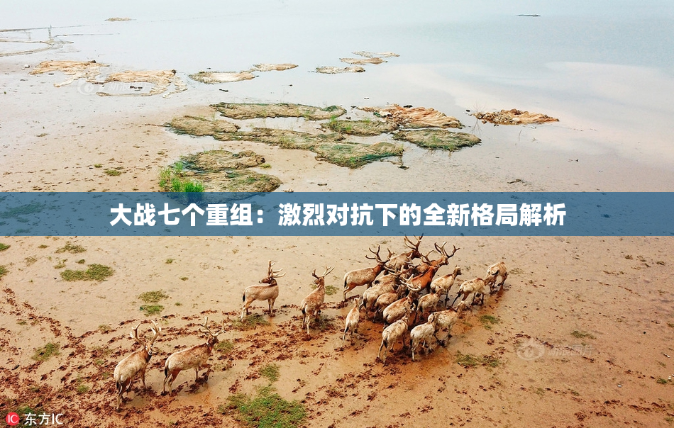 大战七个重组：激烈对抗下的全新格局解析