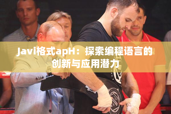 Javi格式apH：探索编程语言的创新与应用潜力