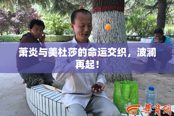萧炎与美杜莎的命运交织，波澜再起！