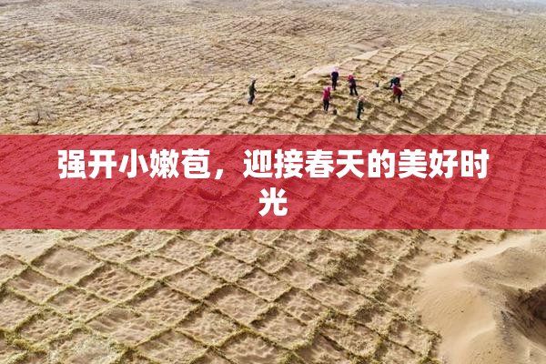 强开小嫩苞，迎接春天的美好时光
