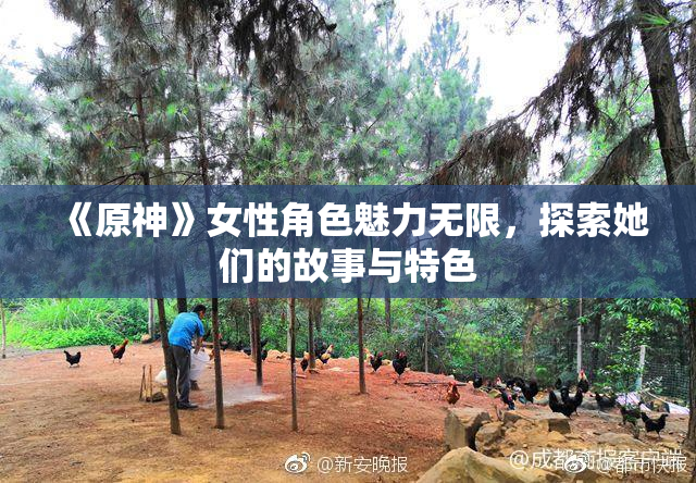 《原神》女性角色魅力无限，探索她们的故事与特色