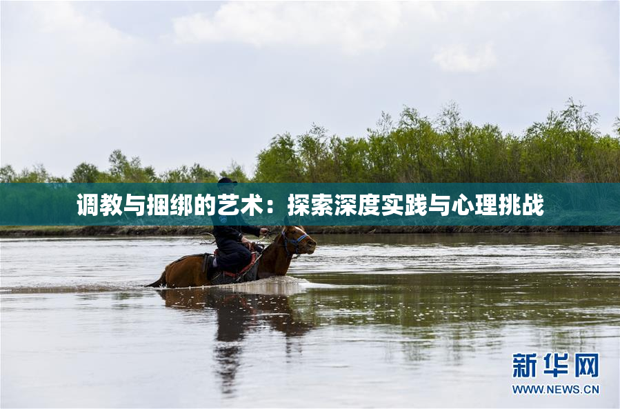 调教与捆绑的艺术：探索深度实践与心理挑战