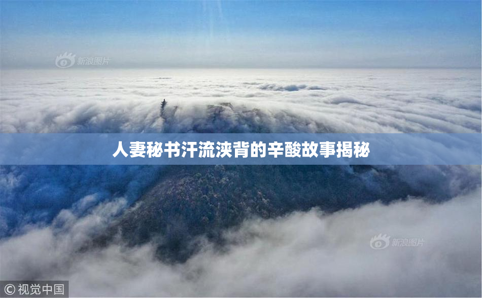 人妻秘书汗流浃背的辛酸故事揭秘