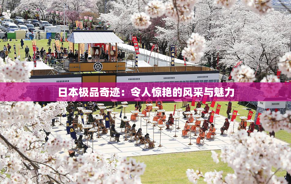 日本极品奇迹：令人惊艳的风采与魅力