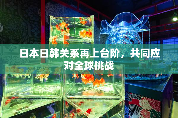 日本日韩关系再上台阶，共同应对全球挑战