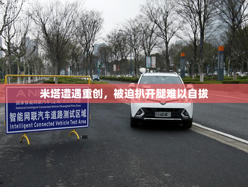 米塔遭遇重创，被迫扒开腿难以自拔