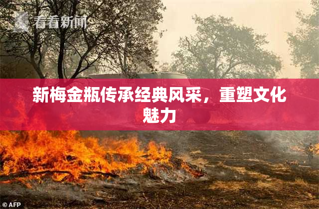 新梅金瓶传承经典风采，重塑文化魅力