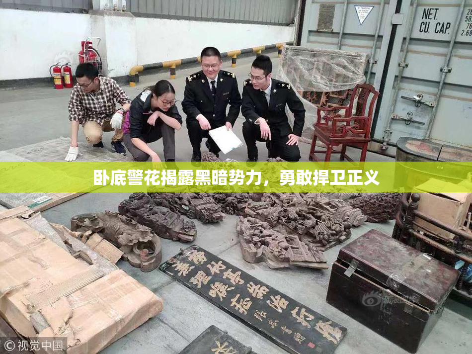 卧底警花揭露黑暗势力，勇敢捍卫正义