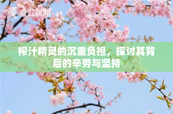 榨汁精灵的沉重负担，探讨其背后的辛劳与坚持