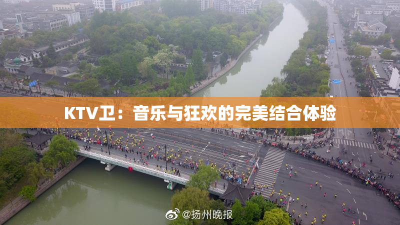 KTV卫：音乐与狂欢的完美结合体验