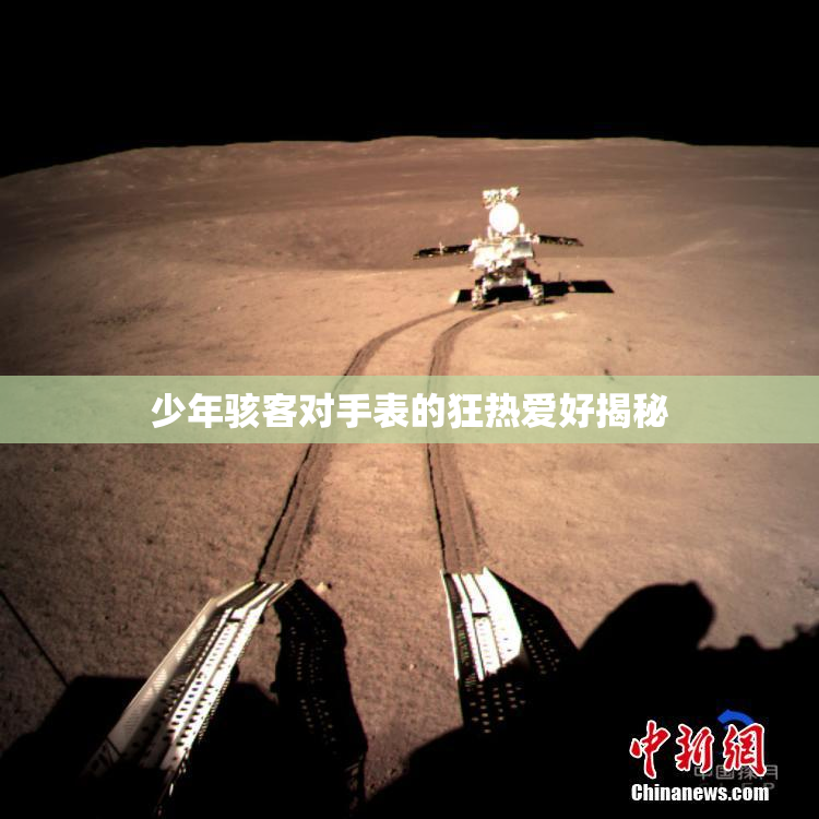 少年骇客对手表的狂热爱好揭秘