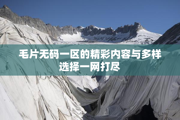 毛片无码一区的精彩内容与多样选择一网打尽