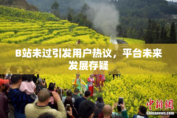 B站未过引发用户热议，平台未来发展存疑