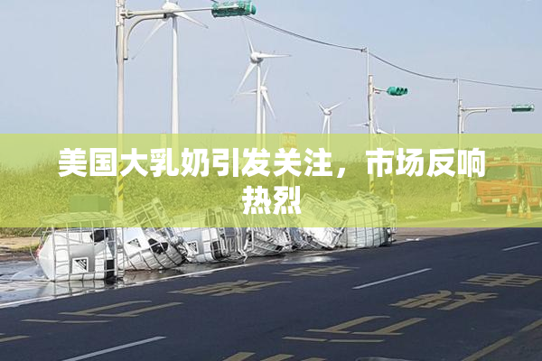 美国大乳奶引发关注，市场反响热烈