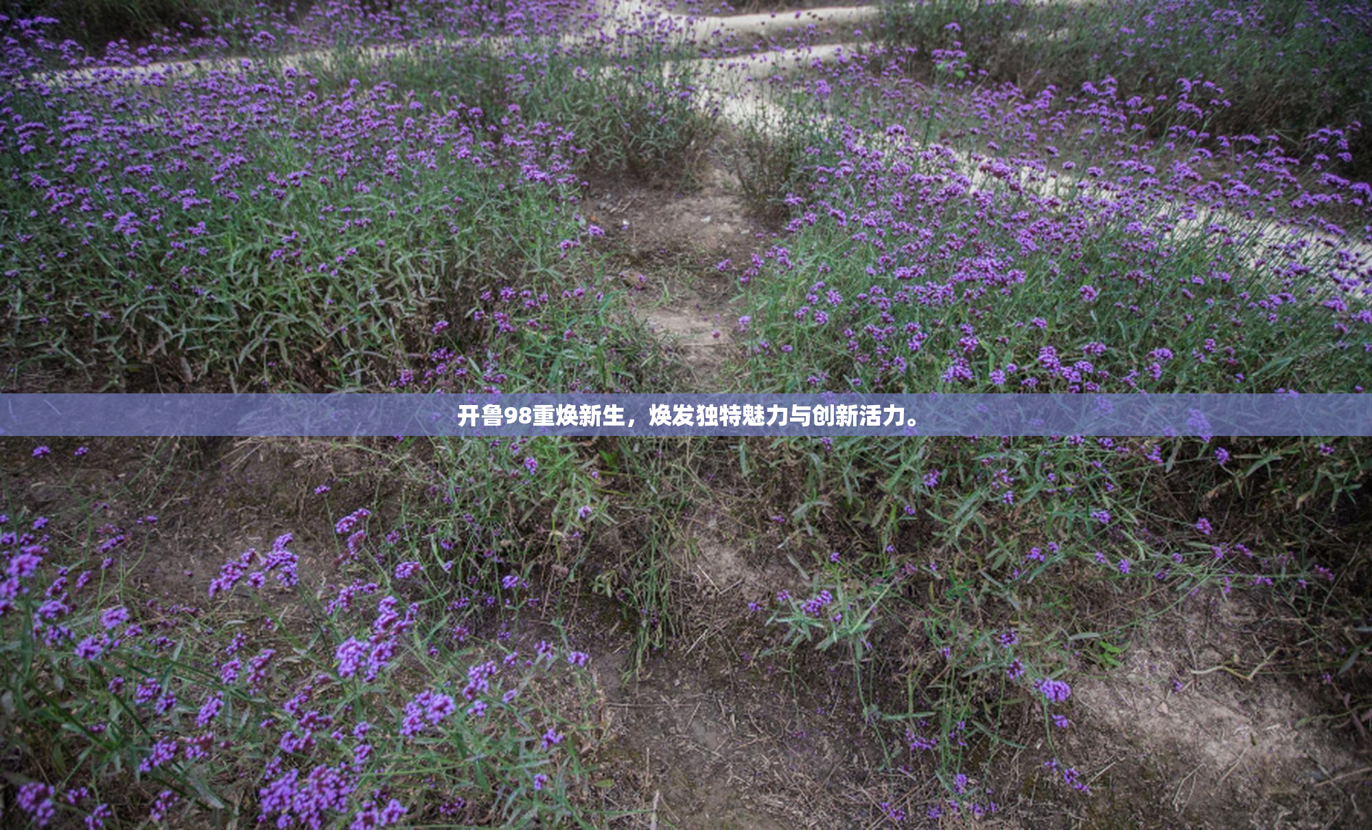 开鲁98重焕新生，焕发独特魅力与创新活力。