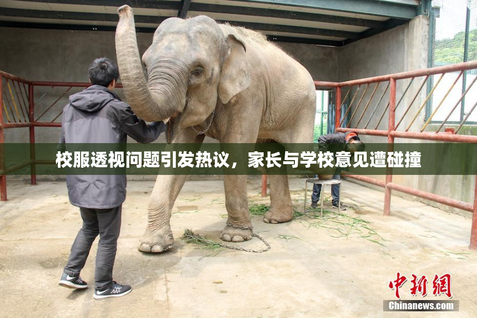 校服透视问题引发热议，家长与学校意见遭碰撞