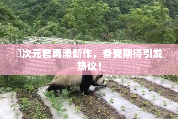 囧次元官再添新作，备受期待引发热议！