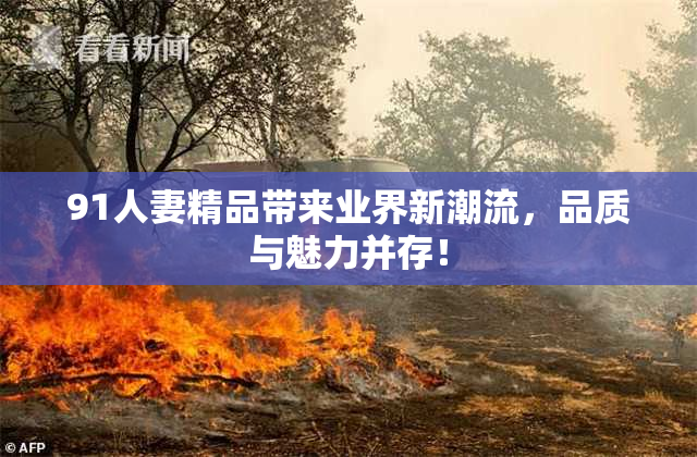 91人妻精品带来业界新潮流，品质与魅力并存！
