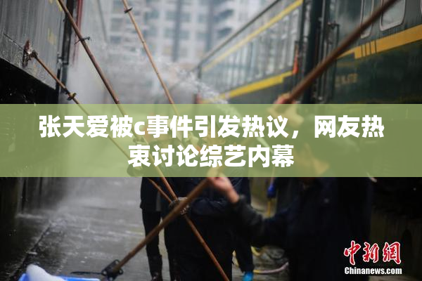 张天爱被c事件引发热议，网友热衷讨论综艺内幕