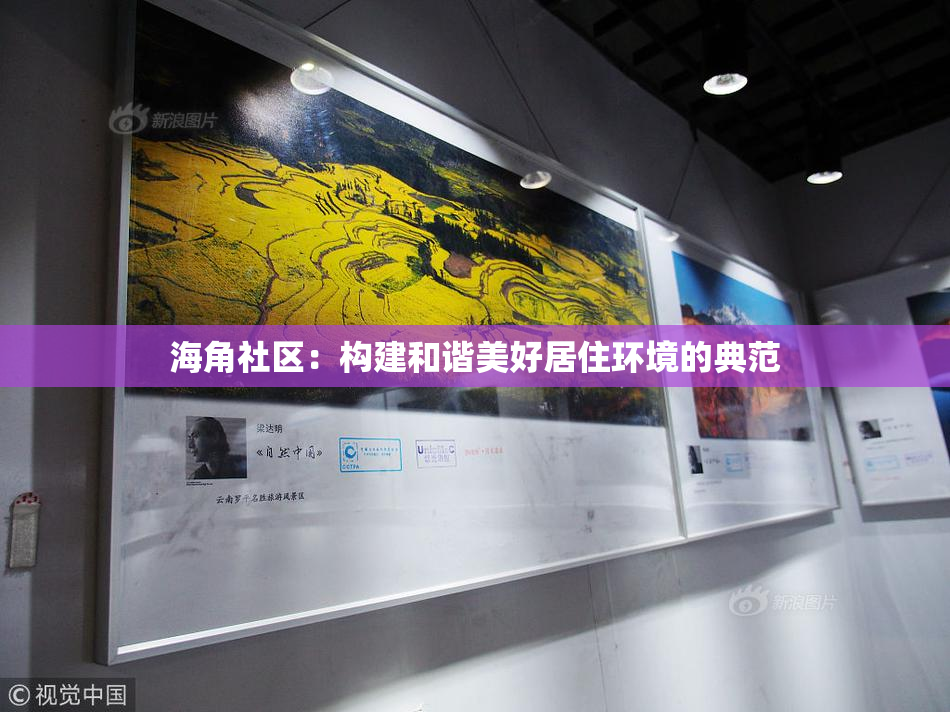 海角社区：构建和谐美好居住环境的典范