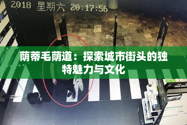 荫蒂毛荫道：探索城市街头的独特魅力与文化