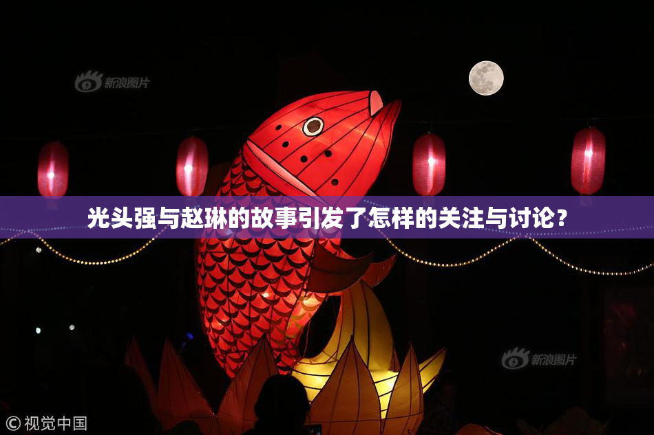 光头强与赵琳的故事引发了怎样的关注与讨论？