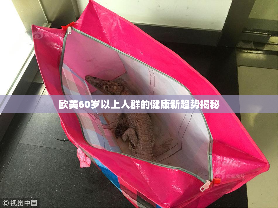 欧美60岁以上人群的健康新趋势揭秘