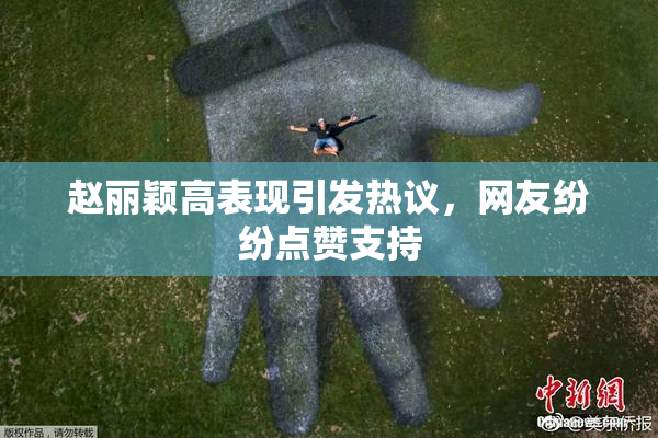 赵丽颖高表现引发热议，网友纷纷点赞支持