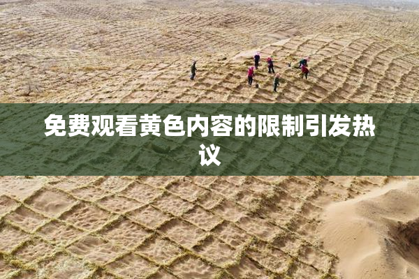 免费观看黄色内容的限制引发热议