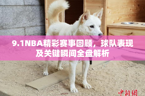 9.1NBA精彩赛事回顾，球队表现及关键瞬间全盘解析