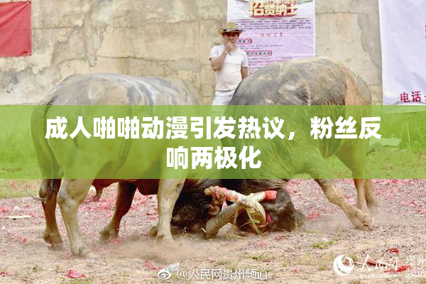 成人啪啪动漫引发热议，粉丝反响两极化