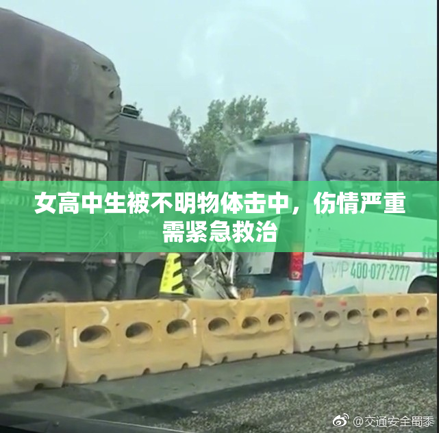 女高中生被不明物体击中，伤情严重需紧急救治