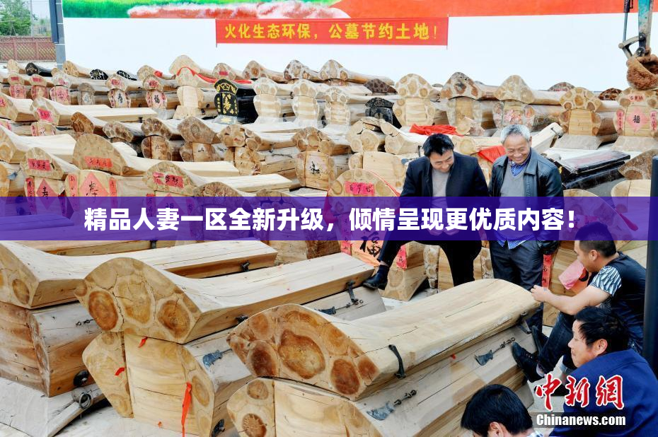 精品人妻一区全新升级，倾情呈现更优质内容！