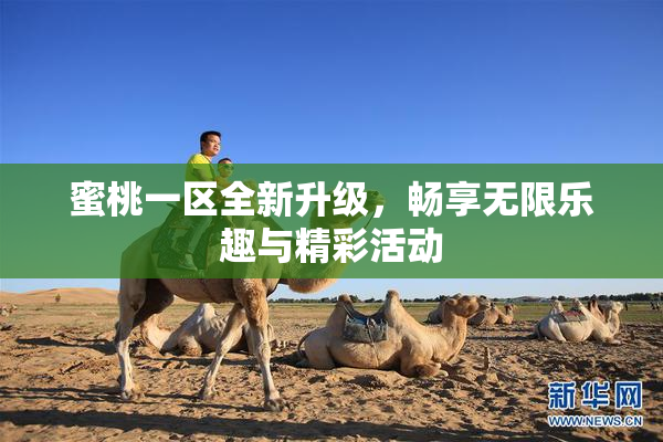 蜜桃一区全新升级，畅享无限乐趣与精彩活动