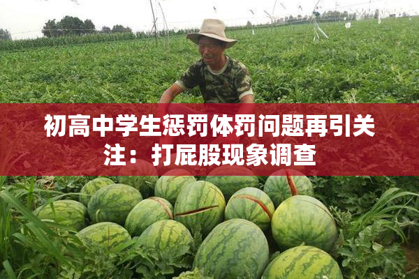 初高中学生惩罚体罚问题再引关注：打屁股现象调查