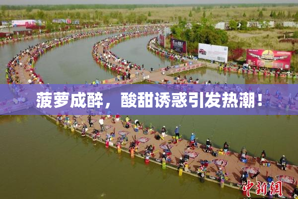 菠萝成醉，酸甜诱惑引发热潮！