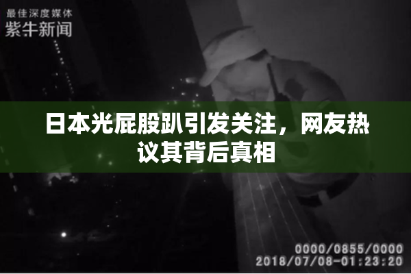 日本光屁股趴引发关注，网友热议其背后真相