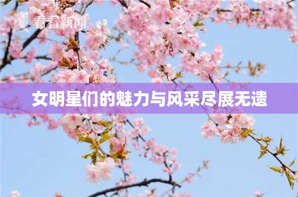 女明星们的魅力与风采尽展无遗