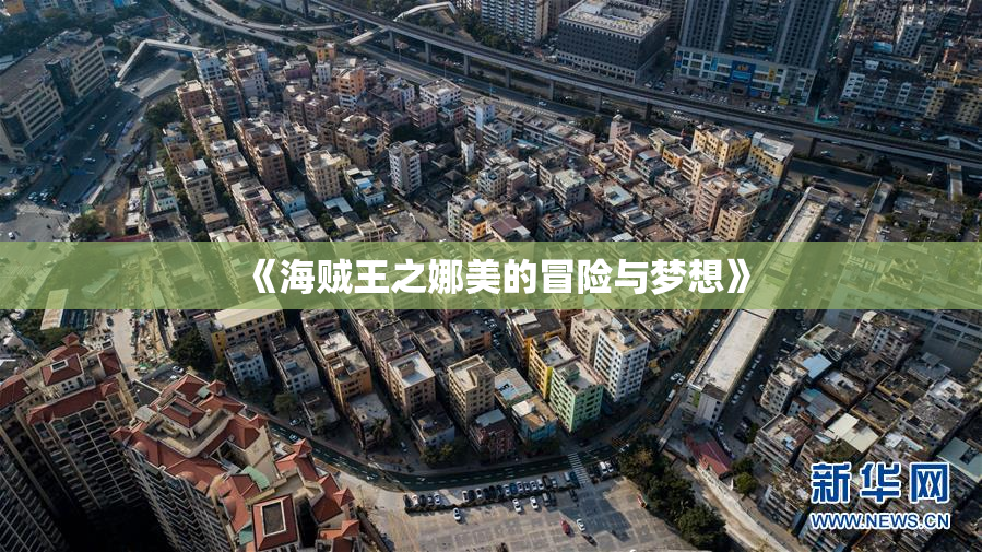 《海贼王之娜美的冒险与梦想》
