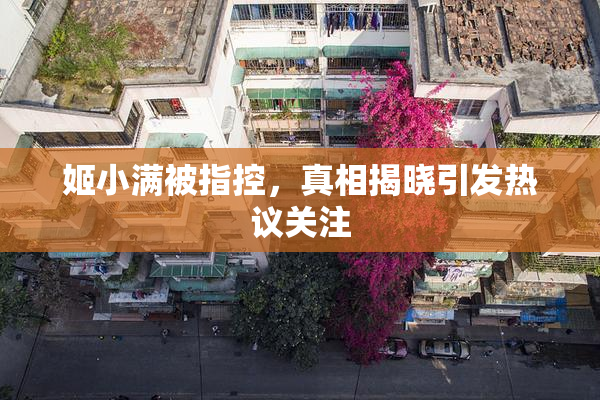 姬小满被指控，真相揭晓引发热议关注