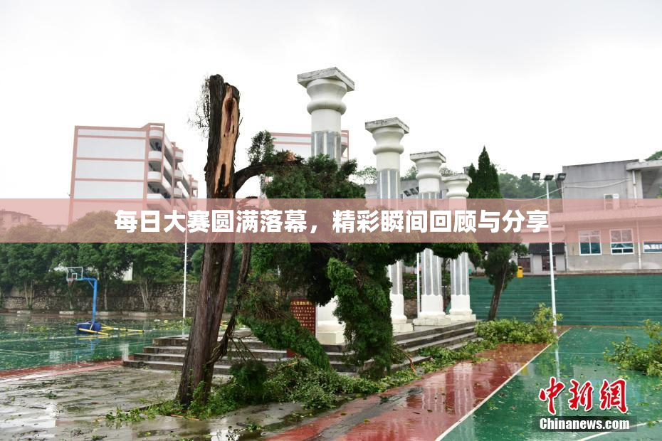 每日大赛圆满落幕，精彩瞬间回顾与分享