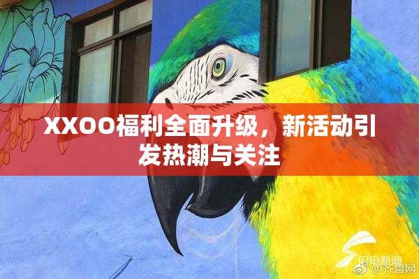 XXOO福利全面升级，新活动引发热潮与关注