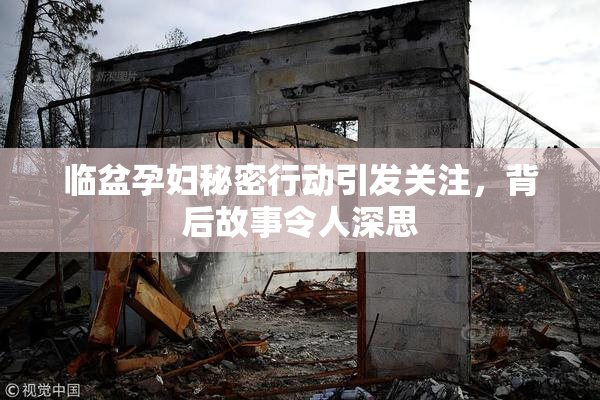 临盆孕妇秘密行动引发关注，背后故事令人深思