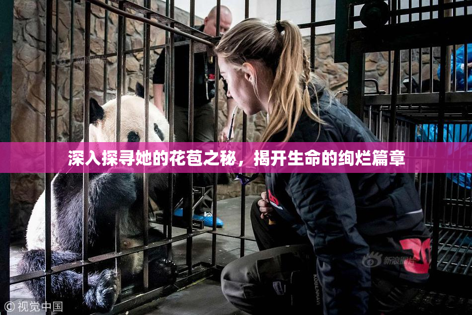 深入探寻她的花苞之秘，揭开生命的绚烂篇章