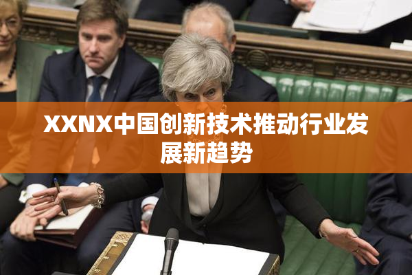 XXNX中国创新技术推动行业发展新趋势