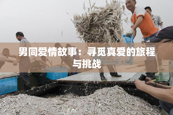 男同爱情故事：寻觅真爱的旅程与挑战