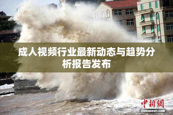 成人视频行业最新动态与趋势分析报告发布