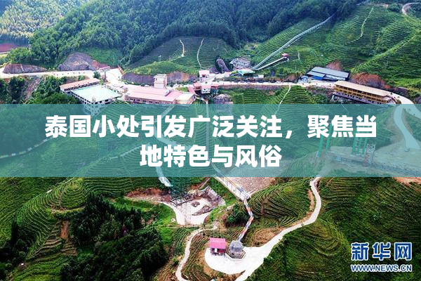 泰国小处引发广泛关注，聚焦当地特色与风俗